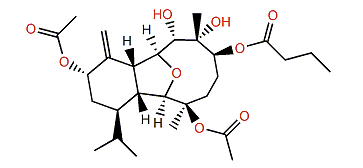Klyxumollin B